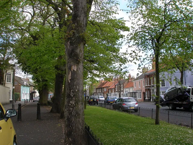 The wide, tree-lined High Street in Norton's conservation area, Stockton-on-Tees